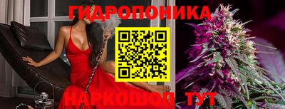 альфа пвп Краснознаменск