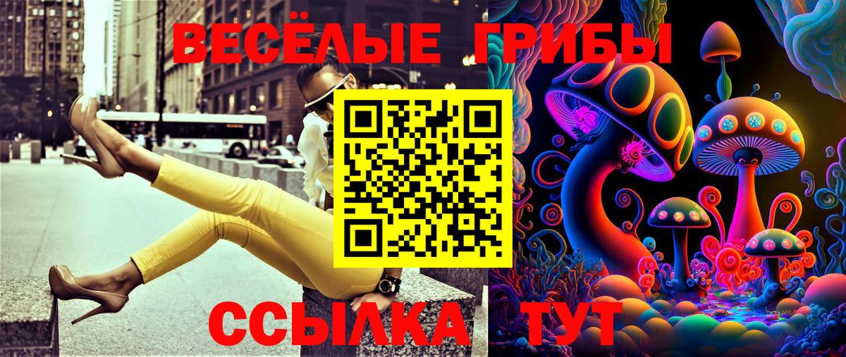 купить  цена  Вход с VPN  Шали  Псилоцибиновые грибы Psilocybe  Псилоцибиновые грибы Magic Shrooms 