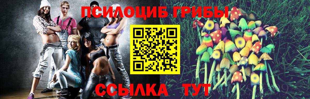 Псилоцибиновые грибы Cubensis Шали